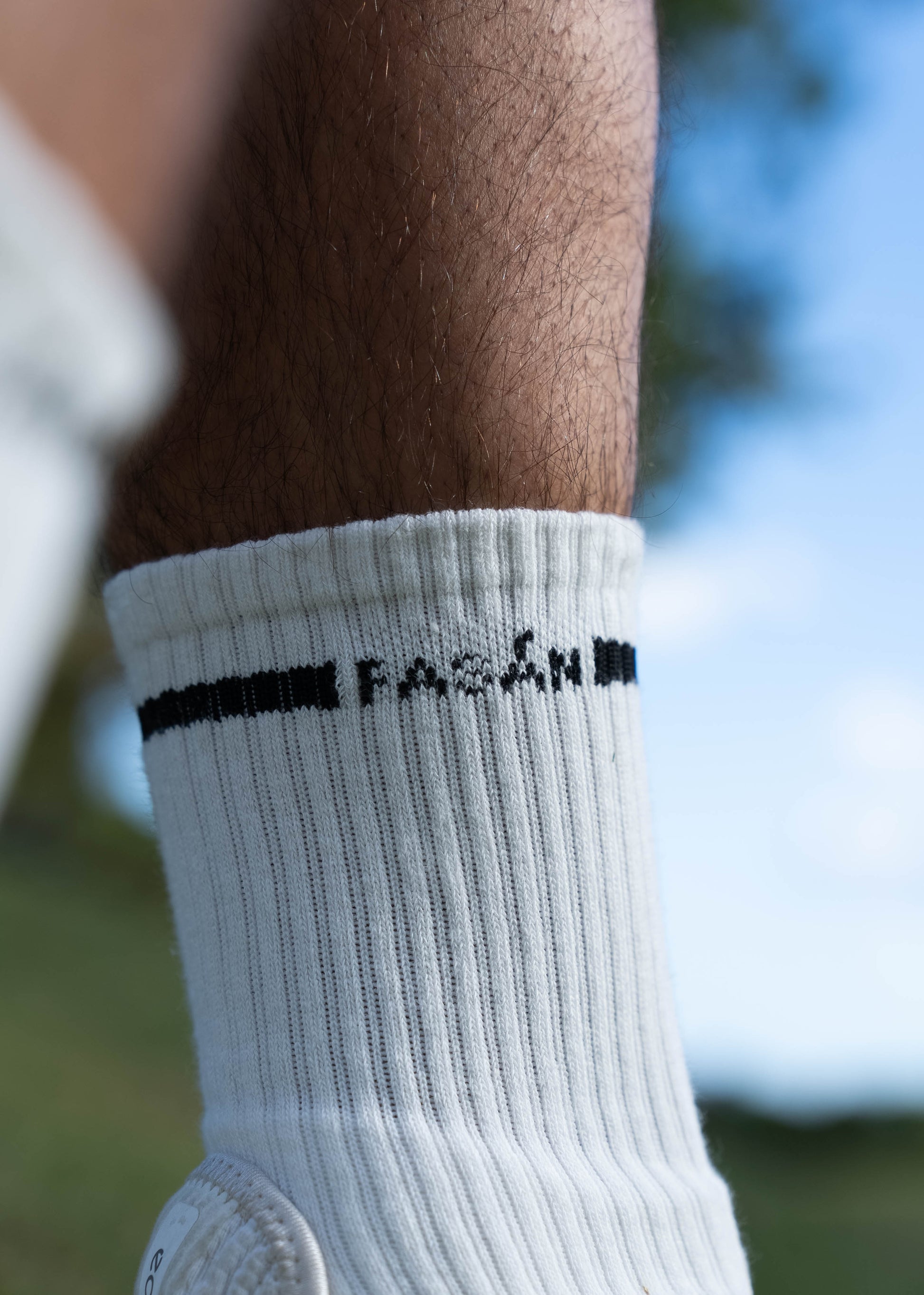 FASÁN socks